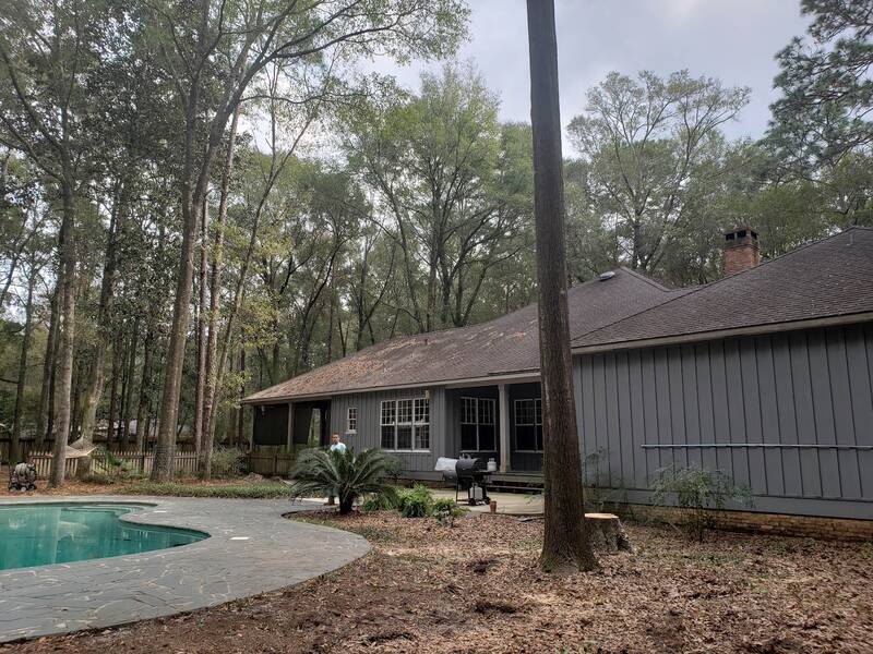 Backyard pool deck and gray ranch house in pine woods, with fresh dirt where trees were taken out and one tall pine left standing